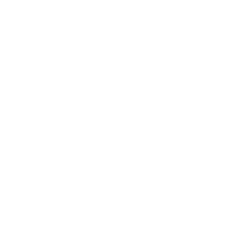 icon user