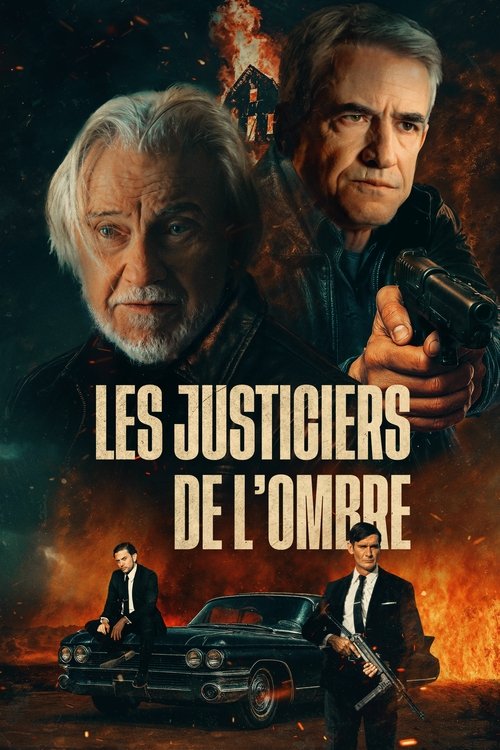 ‎Les Justiciers de l'Ombre streaming gratuit vf vostfr 